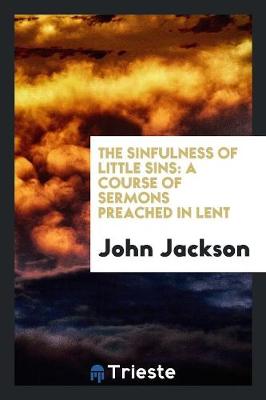 Book cover for The Sinfulness of Little Sins