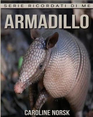 Book cover for Armadillo
