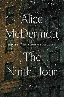 Book cover for The Ninth Hour