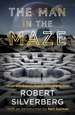 Book cover for The Man in the Maze