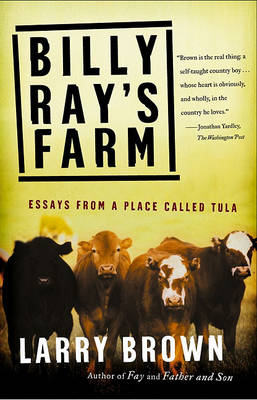 Book cover for Billy Rays Farm