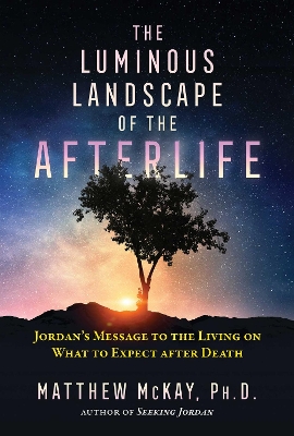 Book cover for The Luminous Landscape of the Afterlife