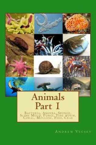 Cover of Animals Part 1