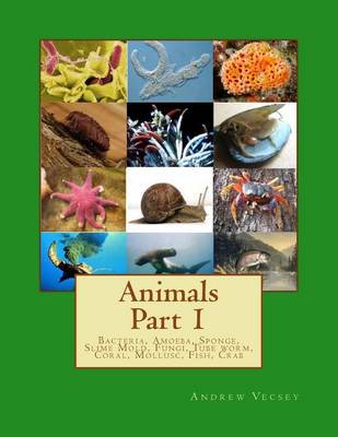 Book cover for Animals Part 1