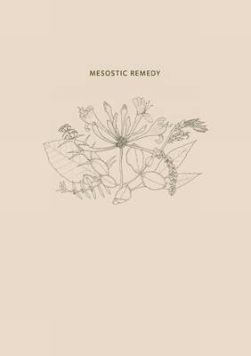 Book cover for Mesostic Remedy