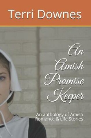 Cover of An Amish Promise Keeper
