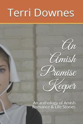 Book cover for An Amish Promise Keeper