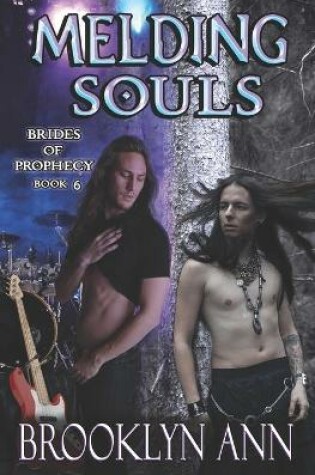 Cover of Melding Souls