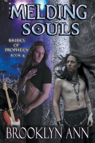 Cover of Melding Souls