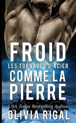 Book cover for Froid comme la pierre