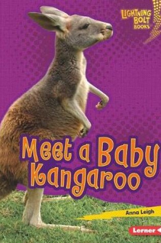 Cover of Meet a Baby Kangaroo