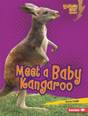 Cover of Meet a Baby Kangaroo