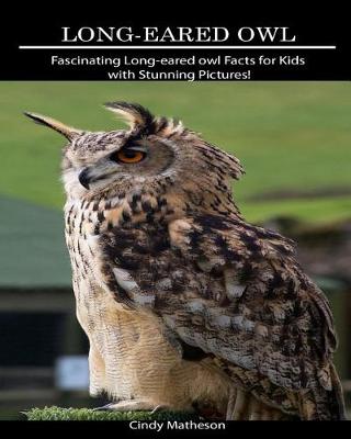 Book cover for Long-Eared Owl