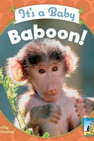 Cover of It's a Baby Baboon!