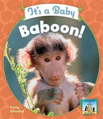 Cover of It's a Baby Baboon!