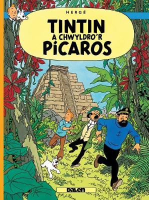 Book cover for Tintin a Chwyldro'r Picaros