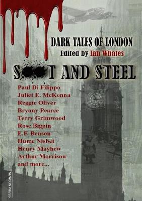 Book cover for Soot And Steel