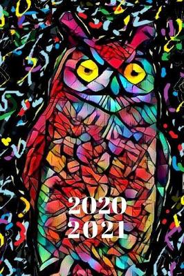 Book cover for Black Colorful Rainbow Prism Blue Teal Red & Yellow Owl Bird Lovers Cute 25 Month Weekly Planer Dated Calendar for Ladies