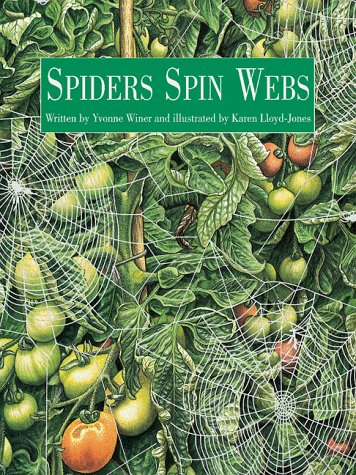 Book cover for Spiders Spin Webs