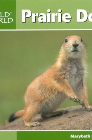 Cover of Prairie Dogs