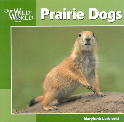 Book cover for Prairie Dogs