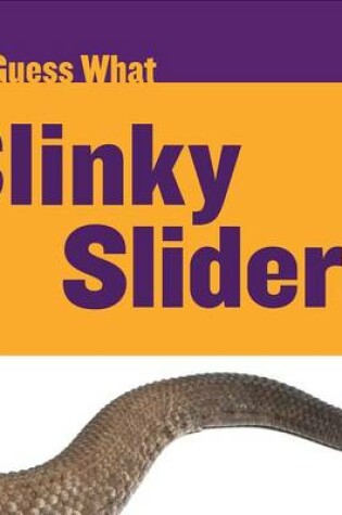 Cover of Slinky Sliders