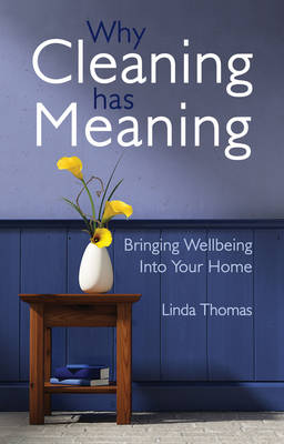 Book cover for Why Cleaning Has Meaning