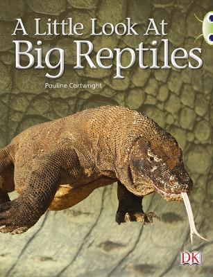 Book cover for Bug Club Guided Non Fiction Year 1 Blue B A Little Look at Big Reptiles