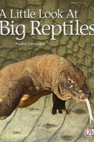 Cover of Bug Club Guided Non Fiction Year 1 Blue B A Little Look at Big Reptiles