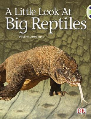 Cover of Bug Club Guided Non Fiction Year 1 Blue B A Little Look at Big Reptiles