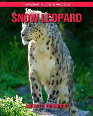 Book cover for Snow Leopard