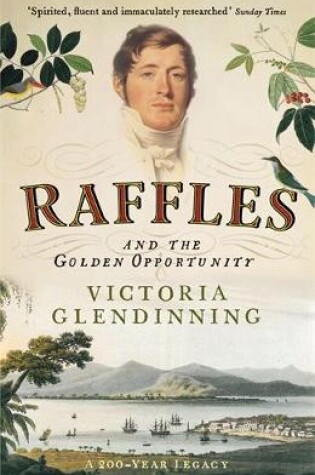 Cover of Raffles