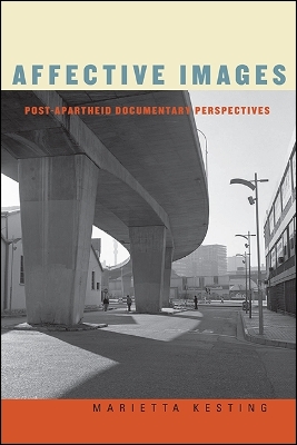 Book cover for Affective Images