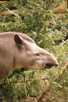 Book cover for Cool Tapir Portrait Journal