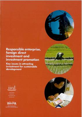 Book cover for Responsible Enterprise, Foreign Direct Investment and Investment Promotion