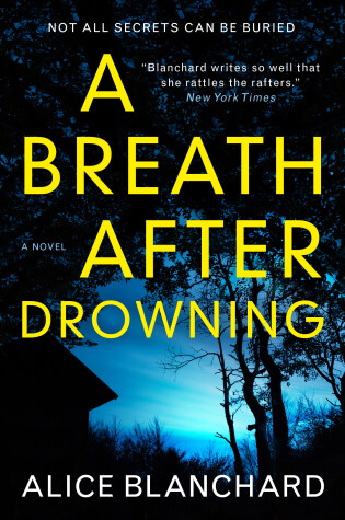 Cover of A Breath After Drowning