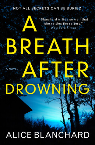 Book cover for A Breath After Drowning