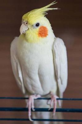 Book cover for Yellow, White, and Orange Cockatiel Bird Journal