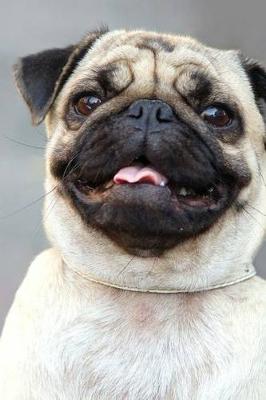 Book cover for Smiling Pug Dog Portrait Journal