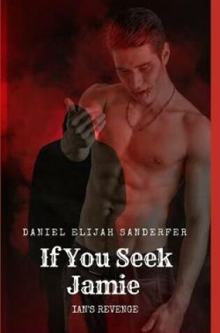 Cover of If You Seek Jamie 3