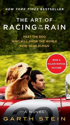 Book cover for The Art of Racing in the Rain Movie Tie-In Edition