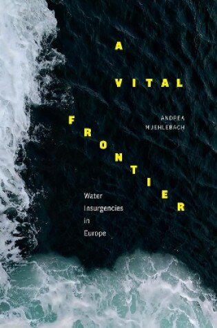 Cover of A Vital Frontier