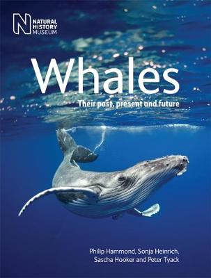 Book cover for Whales