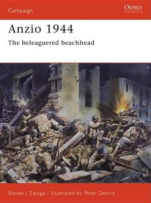Book cover for Anzio 1944