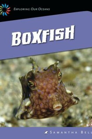 Cover of Boxfish