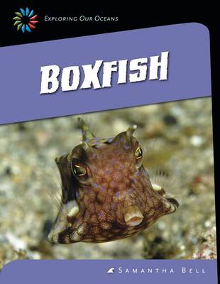 Book cover for Boxfish
