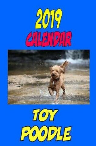 Cover of 2019 Calendar Toy Poodle