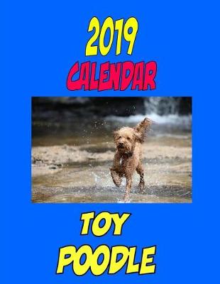 Book cover for 2019 Calendar Toy Poodle