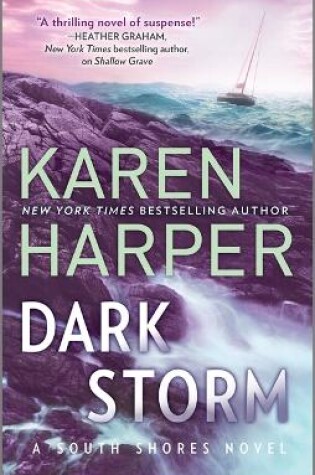 Cover of Dark Storm