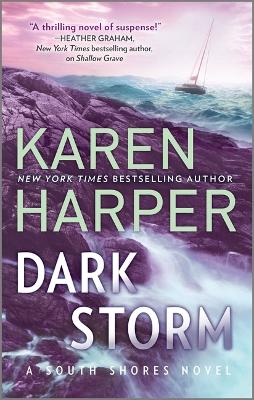 Book cover for Dark Storm